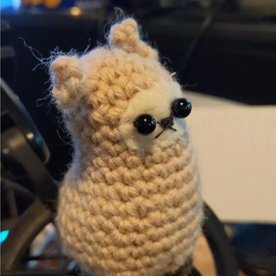 kd2bus@mastodon.radio