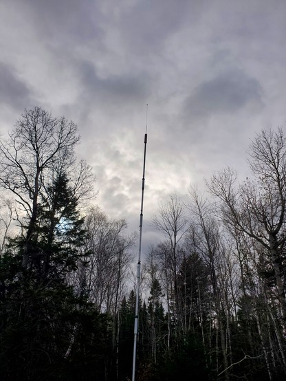 Hustler 6-btv antenna in the wild against a backdrop of trees and sky