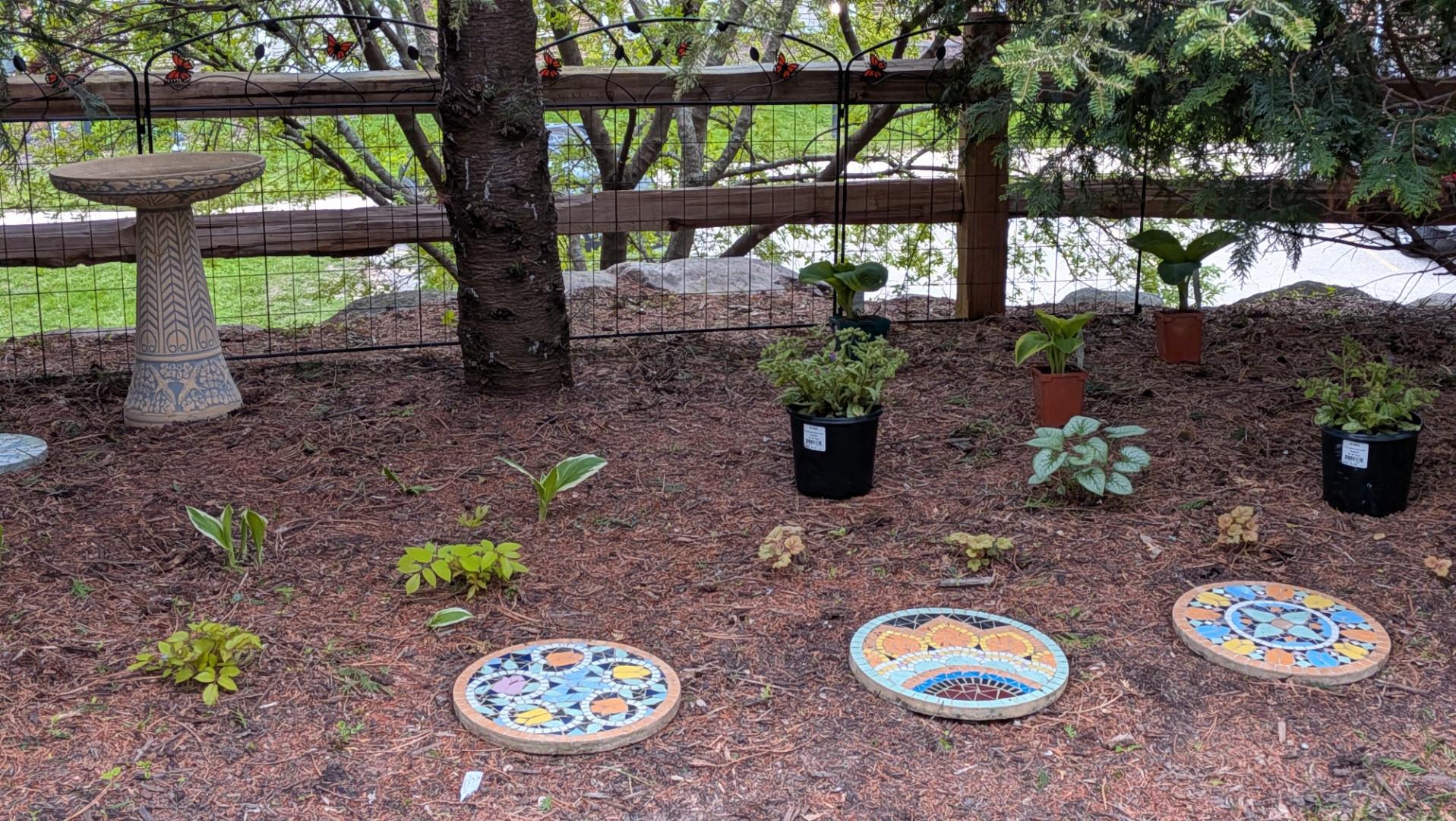 Among plants from prior years which are starting to grow for the new spring, five potted plants await their turn to be put into the ground. Among the decorations are 3 ceramic circular mosaics in front and a bird bath in back along a fence.